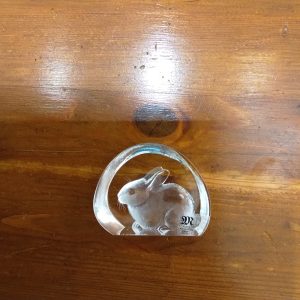 Glasblock, Kanin