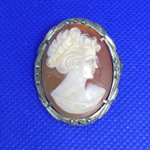 Brosch camé