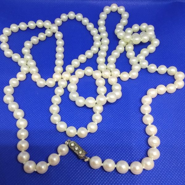Halsband diverse 30:- - Bild 3