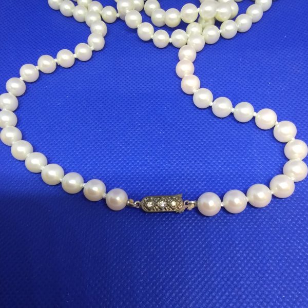 Halsband diverse 30:- - Bild 2